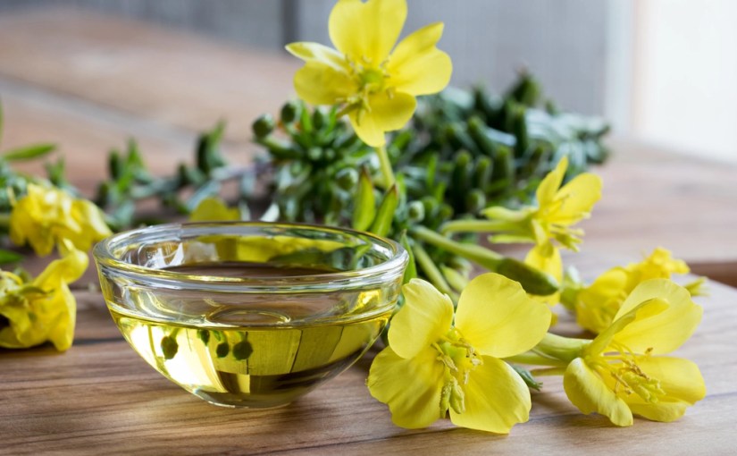 The Benefits of Using Evening Primrose&nbsp;Oil
