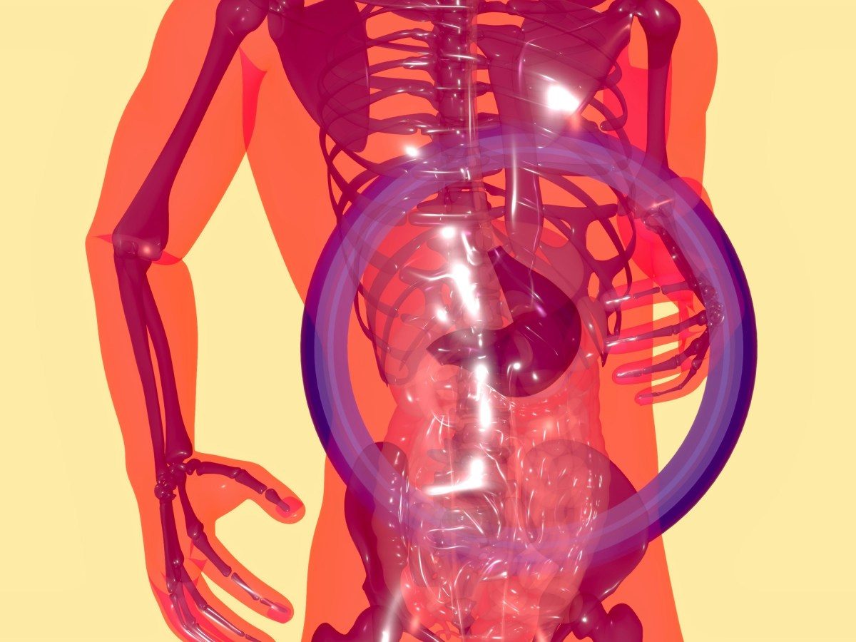 Gut Health 101 With Gregory Duhon: What Patients Should Know About Fiber, Fermentation, and&nbsp;Inflammation